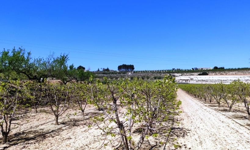  - Country House - Agullent