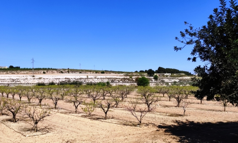  - Country House - Agullent