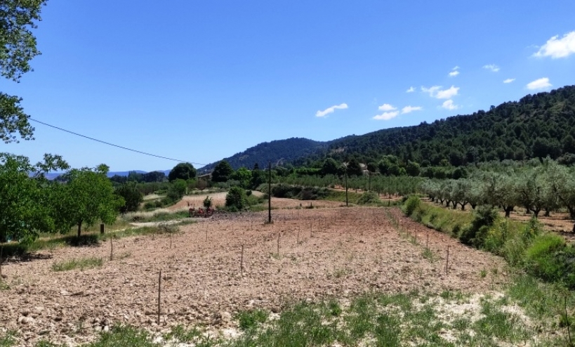  - Country House - Bocairent