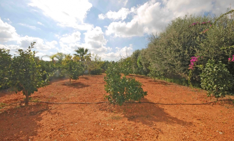  - Villa - Jávea - Montgó