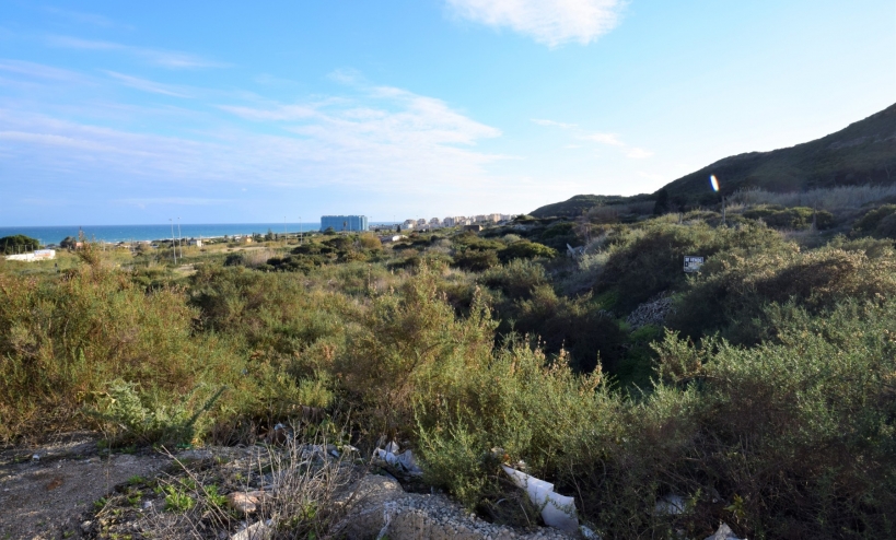  - Land - Guardamar del Segura - Los Secanos