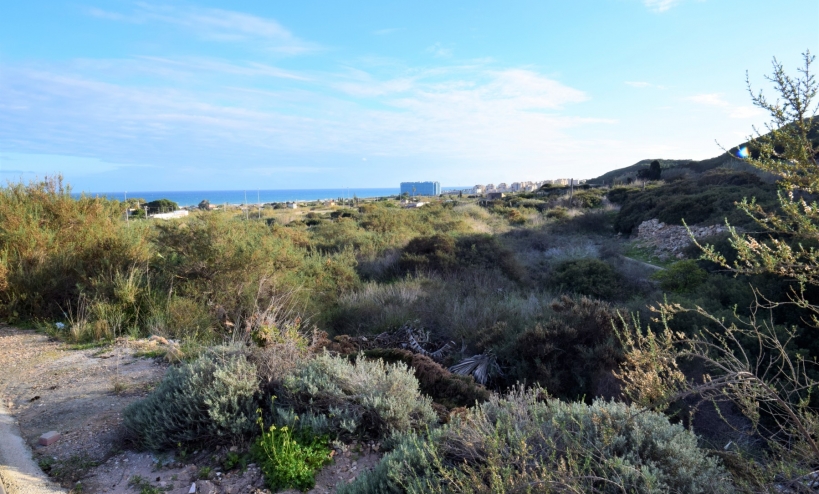  - Land - Guardamar del Segura - Los Secanos