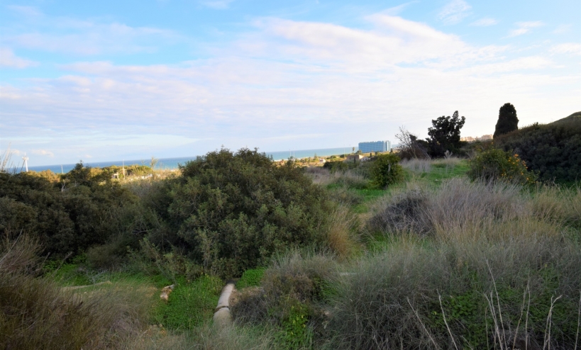  - Land - Guardamar del Segura - Los Secanos